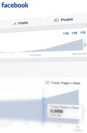Konsultacje Social Media Facebook Konsultacje SEO SEM Facebook